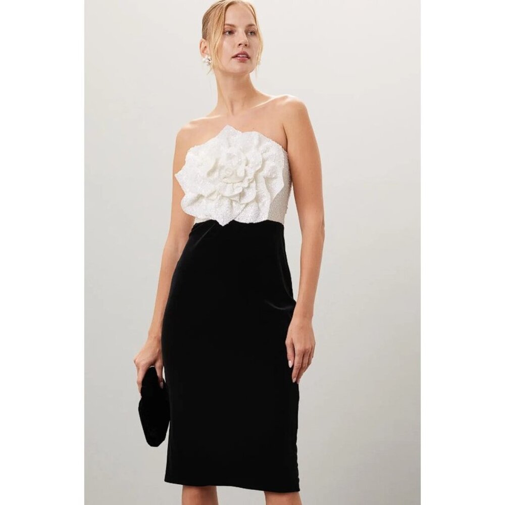 BADGELY MISCHKA Women's Rose Bodice Dress Size 2